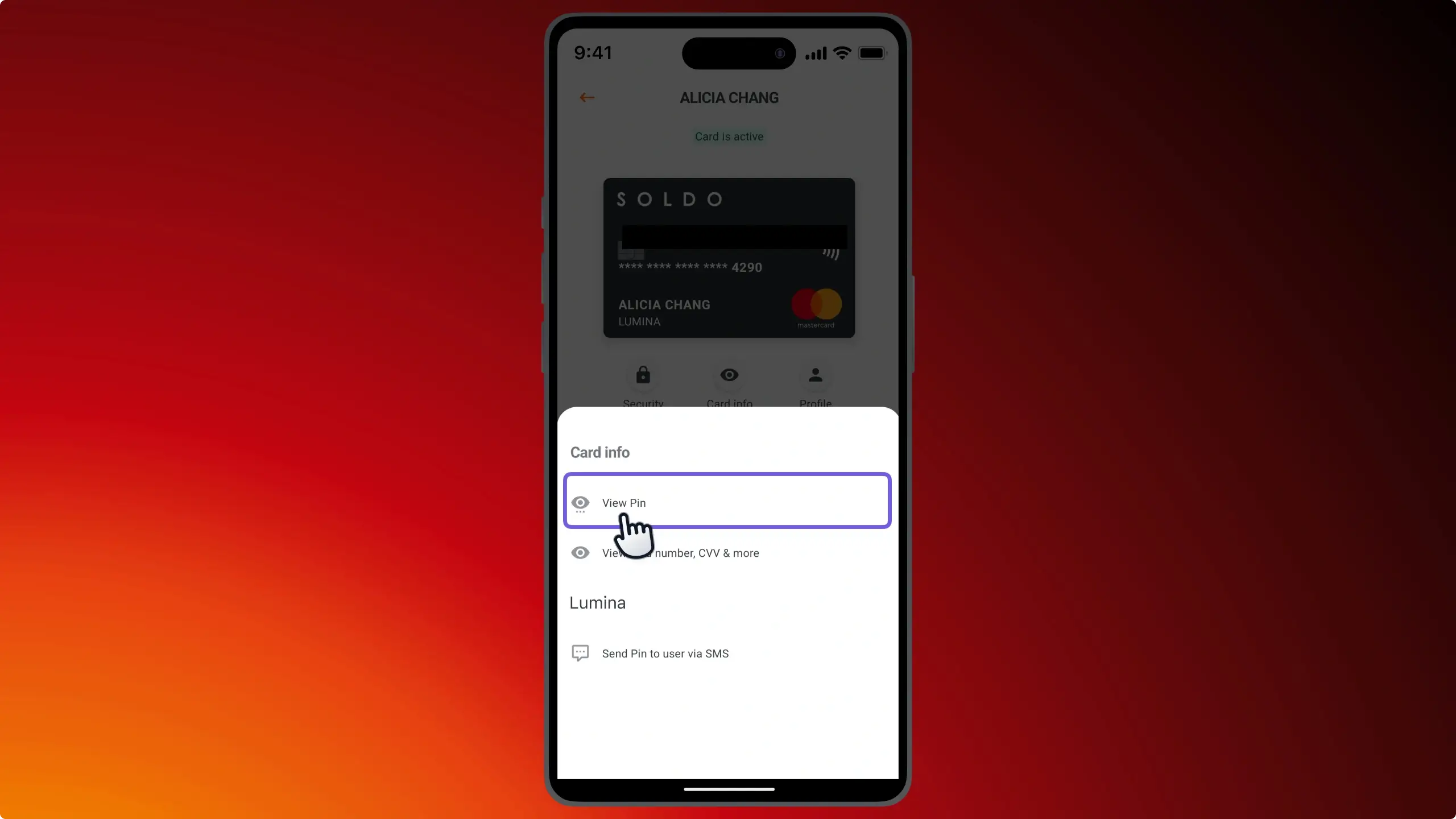 MA_Cards_ViewPINViewPINAnnotated_202503_EN (1).webp
