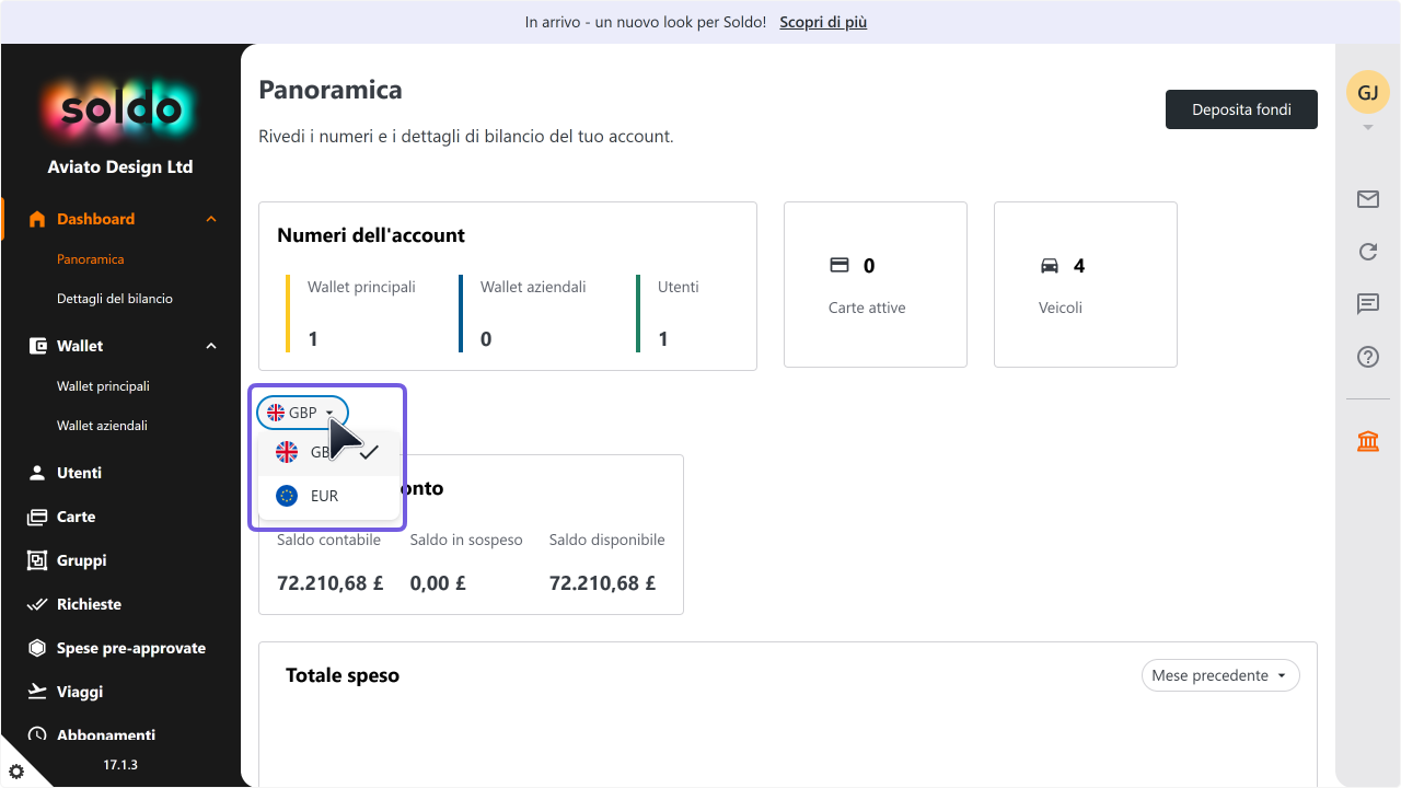 WC_Dashboard_BasicDashboardOverviewAccountCurrency_202502_ITA.png