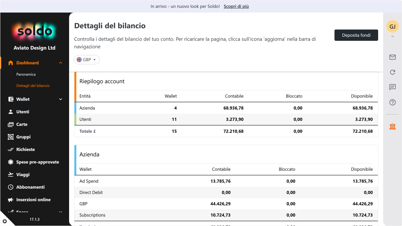 WC_Dashboard_BasicDashboardOverviewAccountFinancialDetails_202502_ITA (1).png